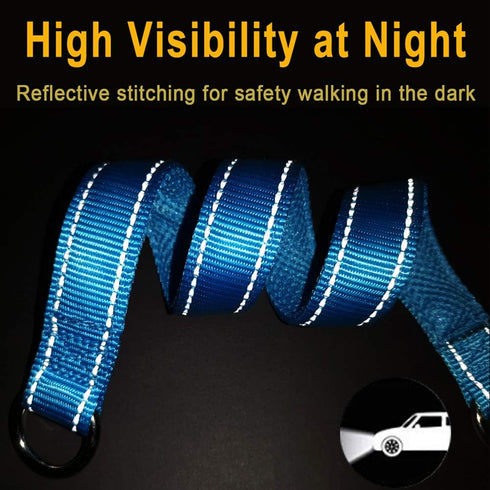 Reflective Slip Collar | Loop Dog Collar for Training with Soft Padded in Teal 22", 1" Wide
