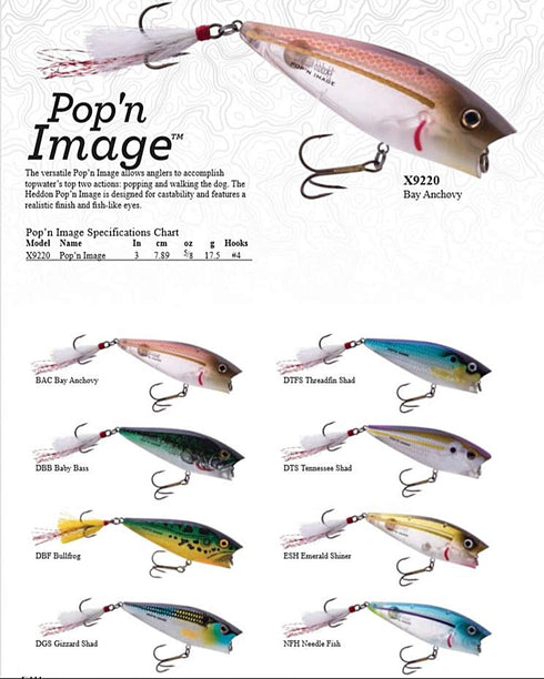 Heddon Pop'N Image Topwater Fishing Lure, Excellent Popping and Walk-The-Dog Action