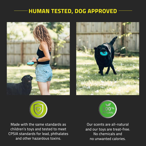 Playology Dual Layer Ring Toy for Medium Dogs (15 to 35lbs) - All-Natural Beef Scented Durable Chew