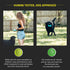 Playology Dual Layer Ring Toy for Medium Dogs (15 to 35lbs) - All-Natural Beef Scented Durable Chew