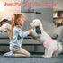 30 Ambreview Disposable Dog Diapers Female, Just Pull It Up, Doggie Diapers for Female Dogs, Strong Absorbency | Leak