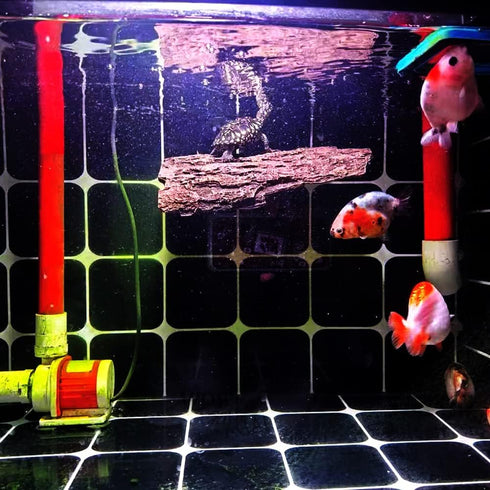 Flushbay Turtle Floating Basking Platform, Aquarium Decorations with Suction Cups for Tortoise Climbing