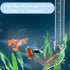 Aquarium Fish Shrimp Feeding Dish Set with Clear Feeder Tube, Cleaning Brush, and Measuring Spoon