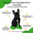 Pet Wellbeing Lung Gold for Dogs, Vet-Formulated Immune Support, 2 oz