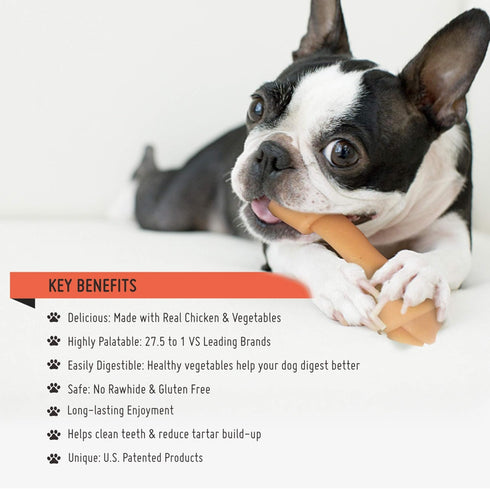Premium Peanut Butter Dog Chew Bones, Rawhide Free, Gluten Free, 18pcs/pack, Healthy and Highly Digestible