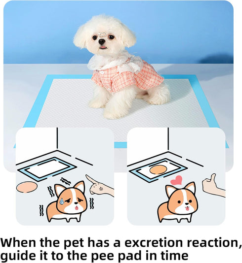 22" x 22" Disposable Puppy Dog Training Pads - Super Absorbent for Indoor Dogs, 100 Counts, Blue