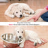 3 Pieces Reusable Dog Diapers Female Dog Period Diapers Washable Puppy Sanitary Panties with Adjustable Suspender Pet