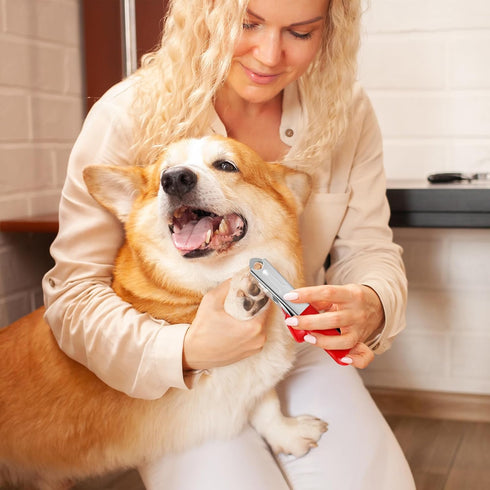 PETTOM Professional Pet Nail Clipper, Stainless Steel Claw Trimmer for Small Medium Dogs Cats, Red