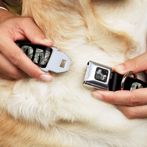 Buckle-Down Dog Collar with Seatbelt Buckle, Cash Money Black Dollar Bills Fill, Medium, 1.5" Wide, Fits 16-23" Neck