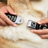 Buckle-Down Dog Collar with Seatbelt Buckle, Cash Money Black Dollar Bills Fill, Medium, 1.5" Wide, Fits 16-23" Neck
