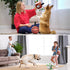 QDAN Dog Soccer Ball Set, 3 PCS with Strap for Tug of War, Toys for Small Medium Large Dogs