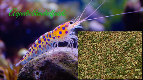 Aquaticblendedfoods 32oz A415 Ultra+ Freshwater Shrimp Food,Calcium,Spirulina,Crayfish & Snail Mix,Cherry Shrimp,Bottom