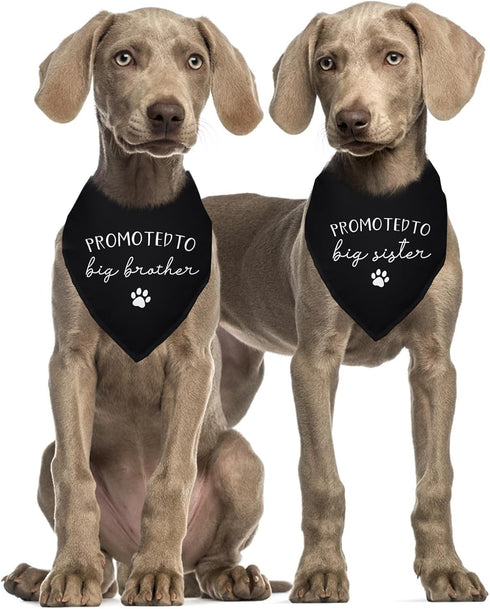 Yishuliwu Pack 2 Promoted to Big Brother Sister White Pet Dog Bandanas Triangle Scarf Bandanas Bibs Birthday Party