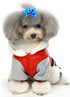 YOY 24 pcs/12 Pairs Adorable Grosgrain Ribbon Pet Dog Hair Bows with Elastic Bands - Grooming Accessories Set