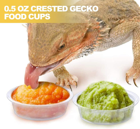 0.5oz Crested Gecko Food and Water Feeding Cups, Plastic Replacement Food Dish for Lizard and Other Small Pets (100 pcs)