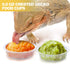 0.5oz Crested Gecko Food and Water Feeding Cups, Plastic Replacement Food Dish for Lizard and Other Small Pets (100 pcs)