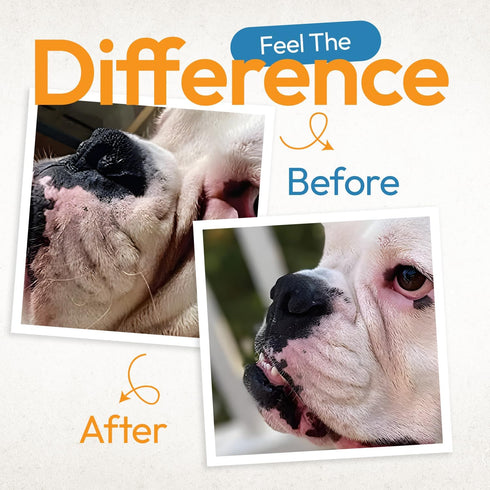 Wrinkle Wipes for Dogs - 100 Count Dog Wipes for French Bulldog, English Bulldog, Pugs - Cleaning & Soothes