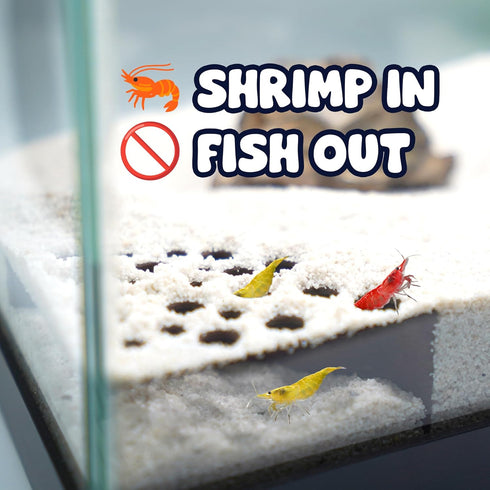 Set, 3-Pack CTWPets Shrimp Breeding Protection Bundle with Hide Dome, Half Protector, Breeding Protector (Brown)