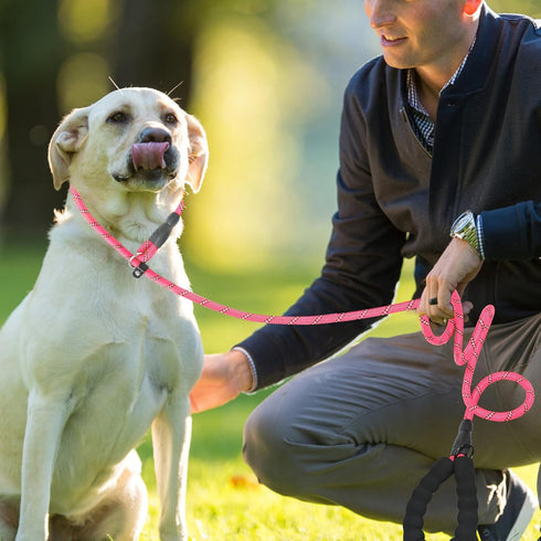 Slip Lead 6 FT for Medium and Large Dogs, Heavy Duty No Pull Reflective Nylon Dog Training Leash, Pink Color