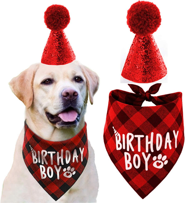 Dog Birthday Hat and Bandana Boy Set
