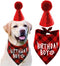 Dog Birthday Hat and Bandana Boy Set