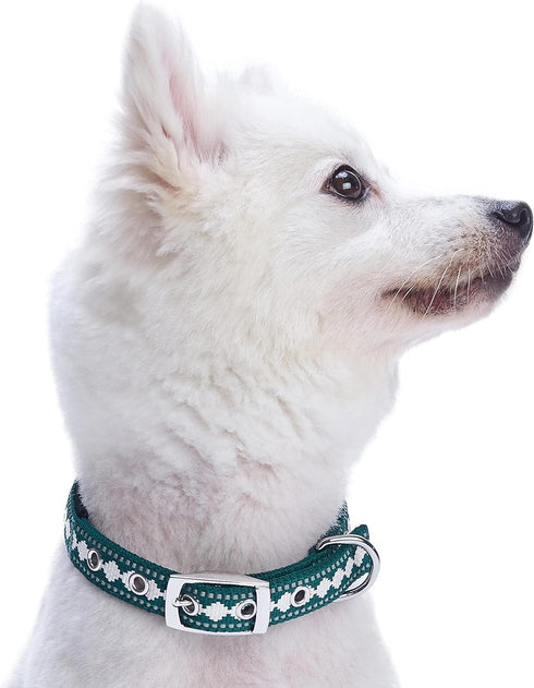 Blueberry Pet Reflective Jacquard Dog Collar, Neoprene Padding, Soft & Adjustable, Teal Blue