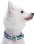 Blueberry Pet Reflective Jacquard Dog Collar, Neoprene Padding, Soft & Adjustable, Teal Blue