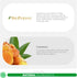 Turmeric for Dogs - 120 Chewable Tablets for Anti-Inflammatory Pain Relief & Joint Support