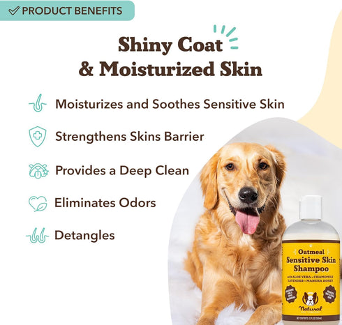 12 oz Natural Dog Company Oatmeal Shampoo for Dogs with Sensitive Skin, Ideal Anti Itch Dog Shampoo and Puppy Shampoo