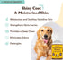 12 oz Natural Dog Company Oatmeal Shampoo for Dogs with Sensitive Skin, Ideal Anti Itch Dog Shampoo and Puppy Shampoo