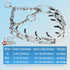 Prong Pinch Collar for Dogs, Adjustable Training Collar with Quick Release Buckle for Small Medium Large Dogs (M/L,