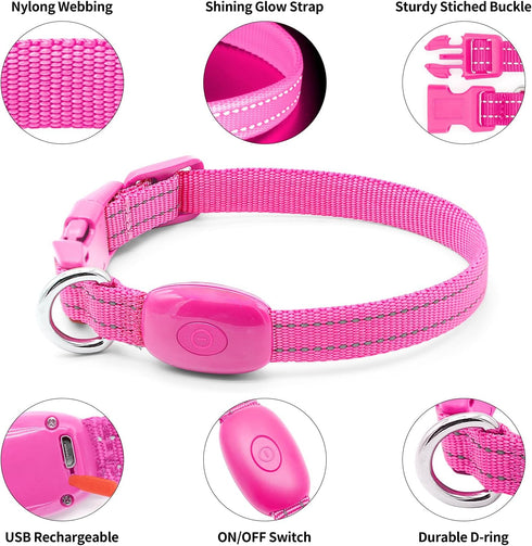 Light Up Collar for Small Dogs & Cats - Reflective LED Dog Collar for Nighttime Walking (Pink)