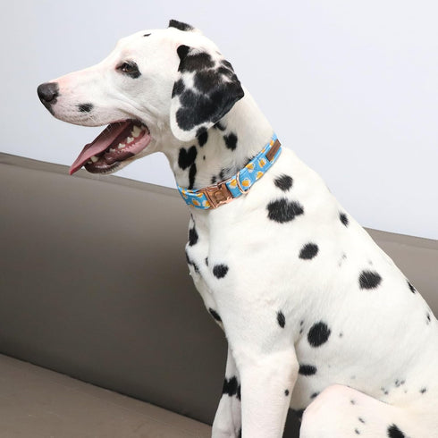 MR. CHUBBYFACE Spring Summer Dog Collar, Cute Blue Beer Collar for Small Medium Large Dogs
