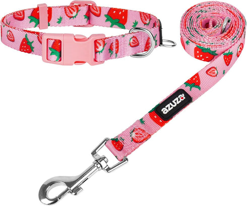 azuza Dog Collar and Leash Set - Cute Strawberry Patterns on Pink Nylon Collar and Matching Leash