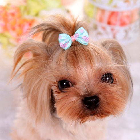 YOY 50 Pcs Adorable Grosgrain Ribbon Pet Dog Hair Bows with Elastic Rubber Bands, Doggy Kitty Topknot Grooming