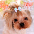YOY 50 Pcs Adorable Grosgrain Ribbon Pet Dog Hair Bows with Elastic Rubber Bands, Doggy Kitty Topknot Grooming