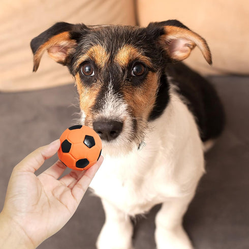 2'' Latex Squeaky Dog Soccer Ball Toys, Vibrant Colors, Dog Football Ball for Puppy Small Medium Dogs (6 Pcs/Set)