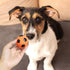 2'' Latex Squeaky Dog Soccer Ball Toys, Vibrant Colors, Dog Football Ball for Puppy Small Medium Dogs (6 Pcs/Set)