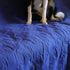 Kritter Planet No Slip Pet Couch Cover - Waterproof Dog Bed Pad, Washable Furniture Protector Mat for Dogs Cats