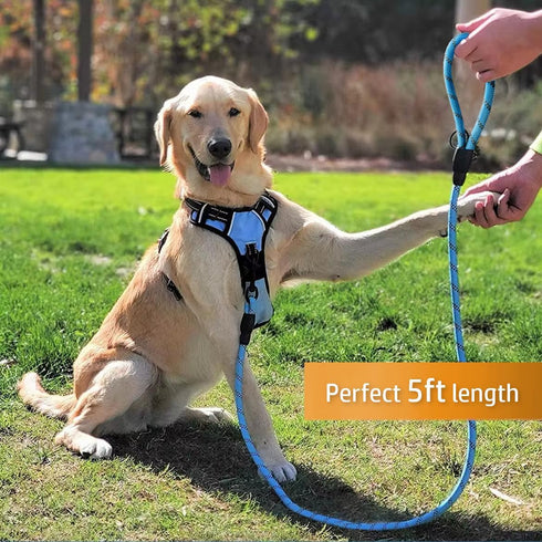 Cutie's PetBox Dog Leash for Medium and Large Breeds - Heavy-Duty Reflective Nylon Rope, 5ft (Blue)