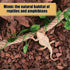 DONGKER Hermit Crab Climbing Rope,Sisal Rope Lizards Climbing Ladder Toy with Hook & Suction Cups for Reptile Geckos