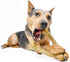 Pet Qwerks Wishbone BarkBone, Nylon Chew Toy for Aggressive Chewers, Peanut Butter Flavor, 8.25"