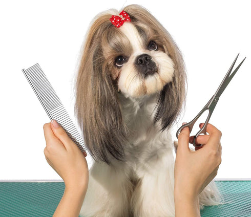 Dog Combs for Grooming, Metal Cat Comb for Removing Tangles and Knots, Professional Tool