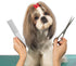 Dog Combs for Grooming, Metal Cat Comb for Removing Tangles and Knots, Professional Tool