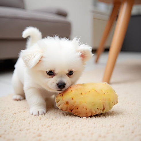 Tnyvm 2025 Vegetable Dog Toy, New Potato Food Shape Squeaky Toys, Toys Chew Toys for Small Medium Large Dogs Squeak