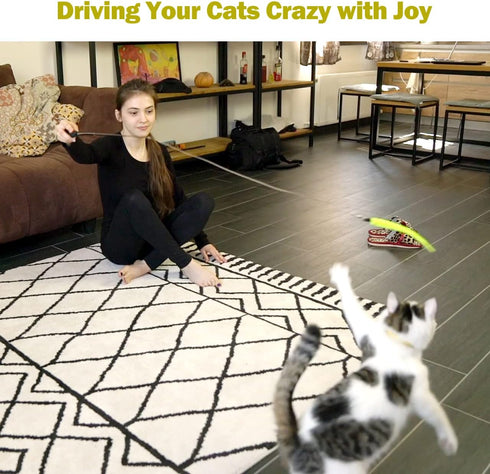 Interactive Cat Toys - Retractable Wand Toy and Feather Toys Refills for Indoor Cats