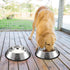 YUDANSI 2 Stainless Steel Dog Bowls with Rubber Base, Medium and Large Pet Feeder Bowls and Water Bowls (XL-51oz)