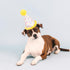 Fringe Studio Plush Dog Toy, Time to Celebrate, Pet Shop Collection (314225)