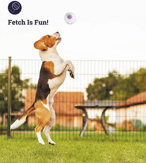 Petstages Nubbiez Treat and Squeak Ball Dog Toy