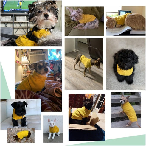 Small Dog Sweaters, Knitted Pet Cat Warm Sweatshirt, Winter Clothes for Kitten Puppy (Small, Yellow)